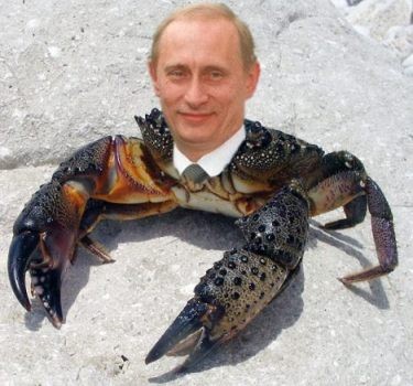 Файл:Putin is a crab 3.jpg