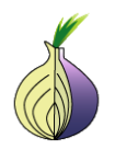 Файл:Teh Onion Router Logo.png