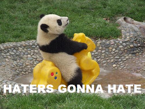 Файл:Haters gonna hate panda.jpg
