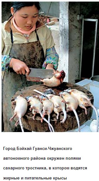 Файл:China Rats.jpg