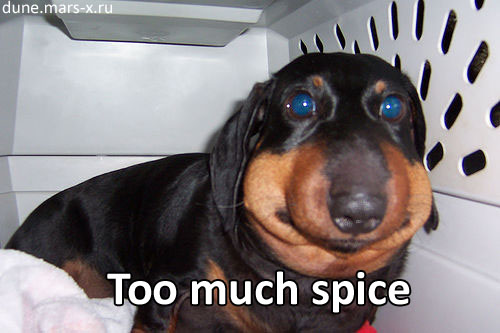 Файл:Too much spice.jpg