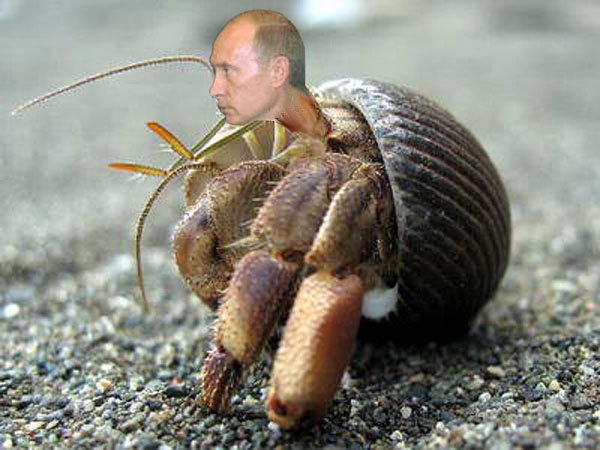 Файл:Putin is a crab 4.jpg