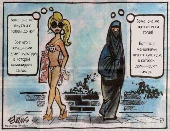 Файл:IslamAndFeminizm.jpg