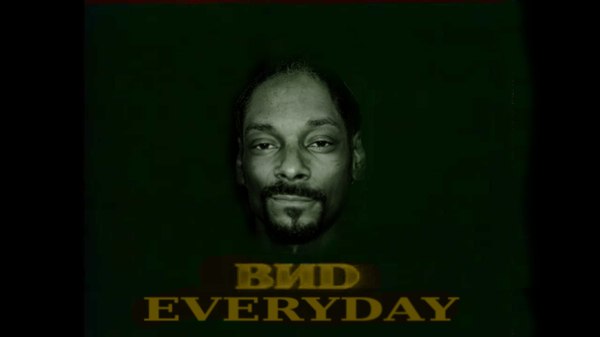 Файл:Snoop Vidogg.jpg