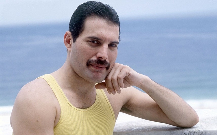 Файл:Moustache Freddie.jpg