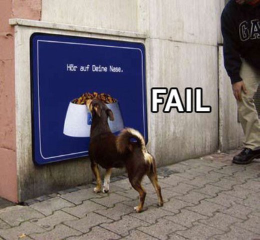 Файл:Dog fail2.jpg