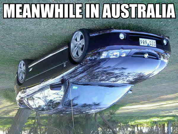 Файл:Meanwhile in australia.jpg