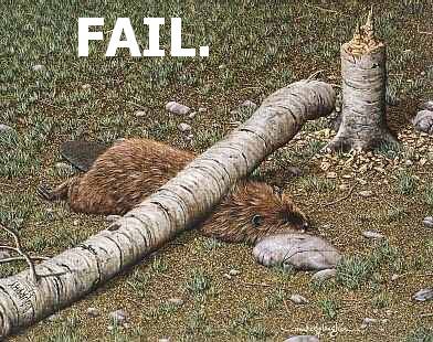 Файл:Tree fail.jpg