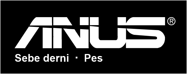 Файл:Asus.png