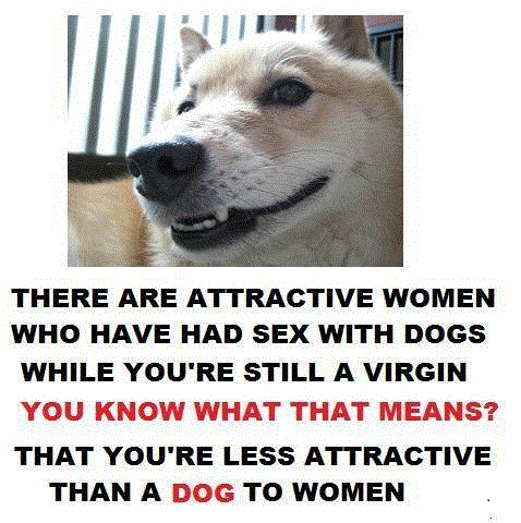 Файл:Dogs.png