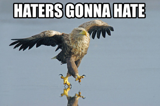Файл:Haters gonna hate bird.jpg