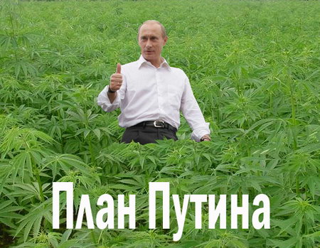 Файл:Putins plan.jpg
