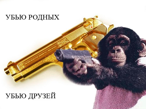 Файл:Monkey with gun.jpg