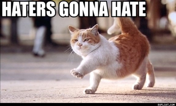 Файл:Haters gonna hate cat.jpg