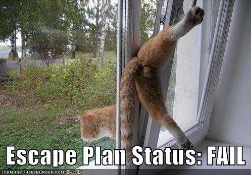 Файл:Funny-pictures-escape-plan-fail.jpg