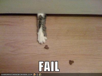 Файл:Cat fail.jpg