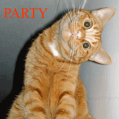 Файл:Party Hard cat.png