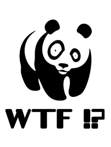 Файл:Panda wtf.jpg