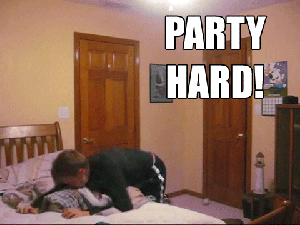 Файл:PARTYHARD.png