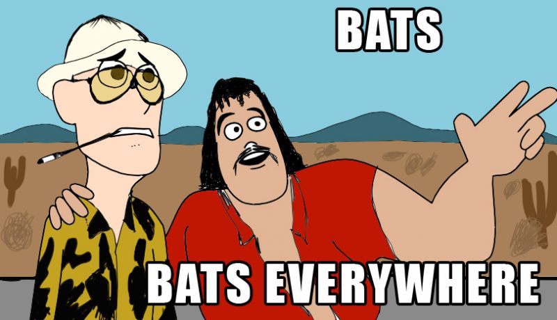 Файл:Bats everywhere.jpg
