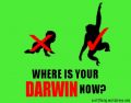 Дарвин — где он теперь?