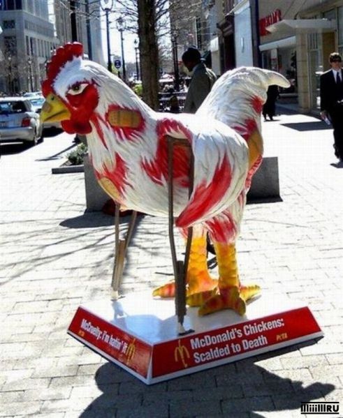 Файл:McDonalds hen.jpg