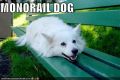 Monorail Dog. Wait! OH SHI--