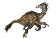 Еретический волосатый пернатый динозавр — один из предметов священной войны