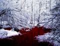 Самое обычное озеро крови