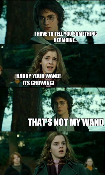 Файл:HP its not a wand.jpg