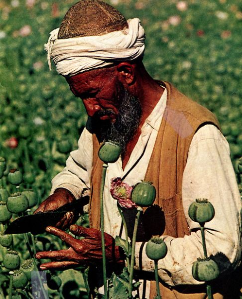 Файл:Afganian drug worker.jpg
