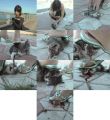 Фото из того самого видео про Ван Цзюэ и котёнка!