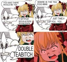 Double Teabitch