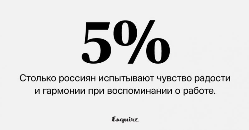 Файл:5%.jpg