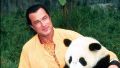 Стивен Сигал — защитник панд