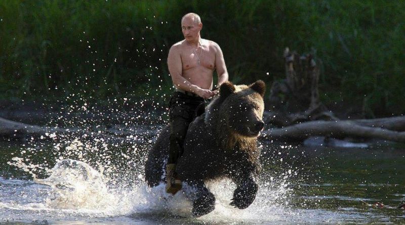 Файл:Putin bear cavalry.jpg
