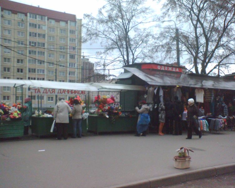 Файл:Продуктовый рынок в Петербурге.jpg