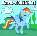 Haters gonna hate 2
