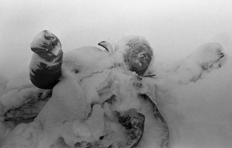 Файл:Finnish-soldier-corpse.jpg