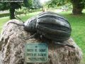 Памятник жуку в Венгрии с табличкой, прифотошопленной весной 2014. Поставлен в ознаменование 50-летия колонизации страны жуком