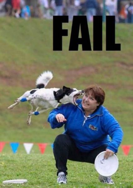 Файл:Dog fail3.jpg