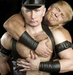 Путин тоже голосовал за Трампа и был трахнут Томагавками в Сирии.