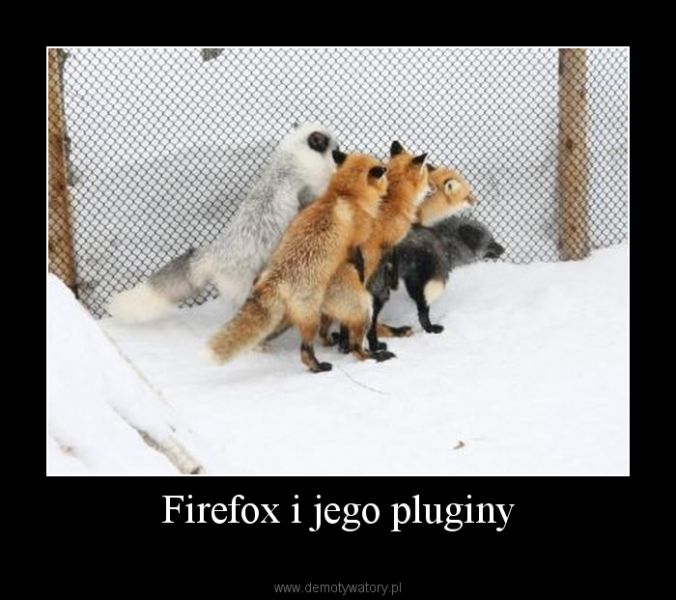 Файл:Firefoxplugins.jpg