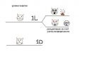 Тонкая структура уровней энергии квантового кота