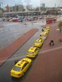 Таллинское элитное жёлтое такси — Tallink Takso