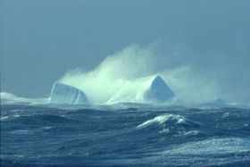 Южный океан суров…