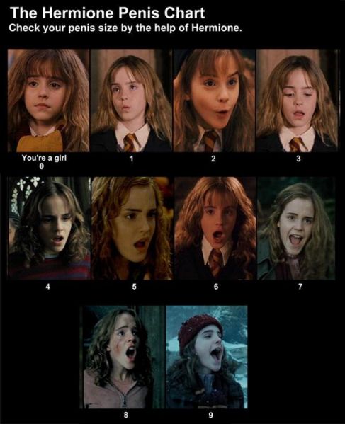 Файл:Hermione's penis chart.jpg