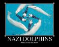 Дельфины-нацисты; где теперь твой Б-г?