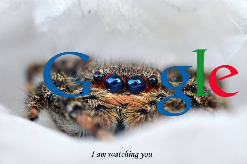 Файл:Watching-you-Google.jpg