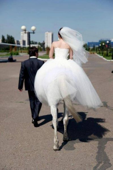 Файл:Horsemarried.jpg